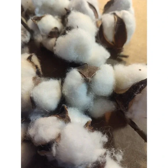 Real Cotton Balls Decor 40+ Pieces For Wreath Decor Cotton Bolls Balls‎ Natural - Picture 4 of 7